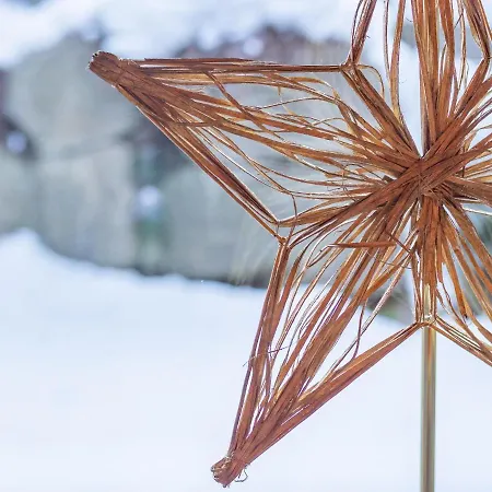 Σαλέ Chalet Wildschoenau